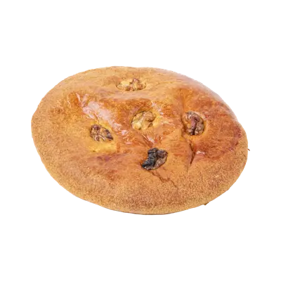 گاتو جوز